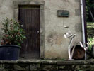 Image 01